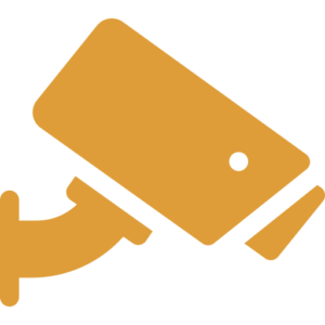 IP Surveillance
